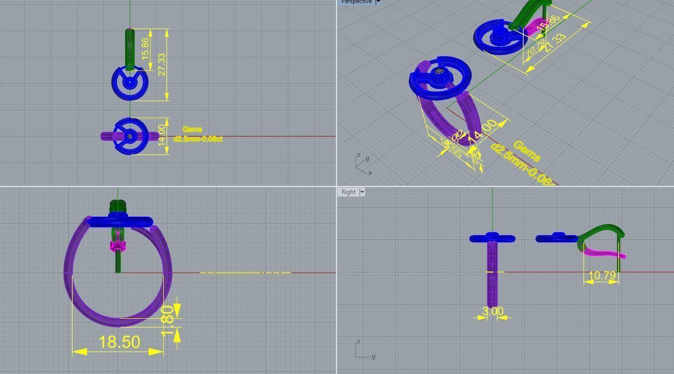 Ring with earrings-2 3D print model_4