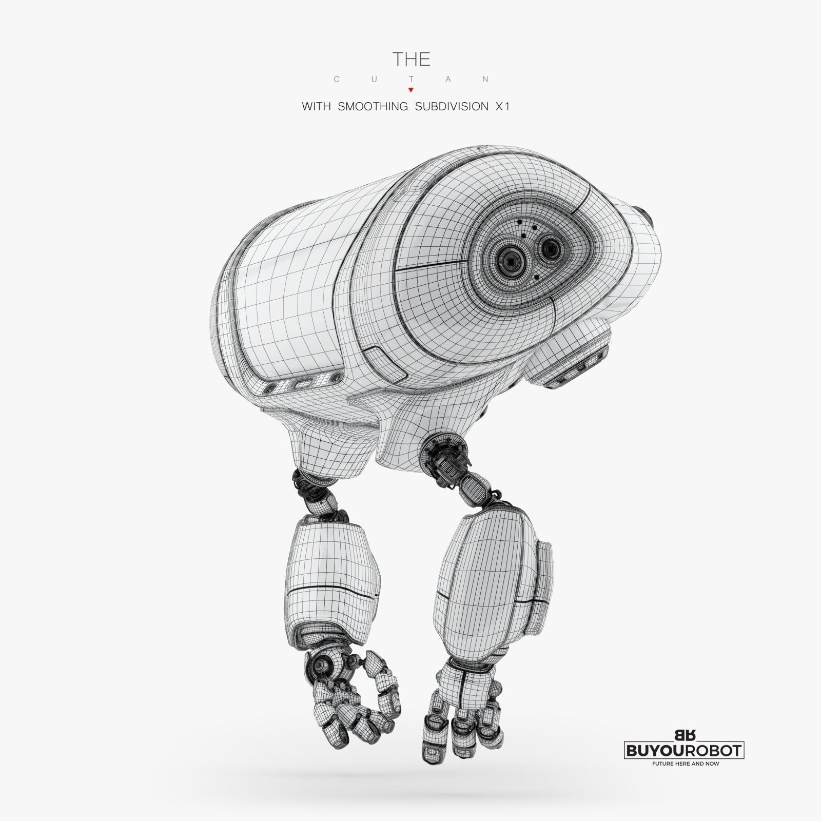 AERIAL CUTAN XXVII 3D model_4