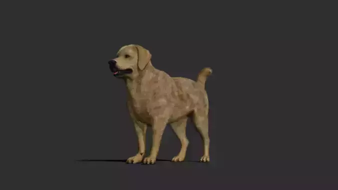Dog rigged and animated Low-poly 3D model