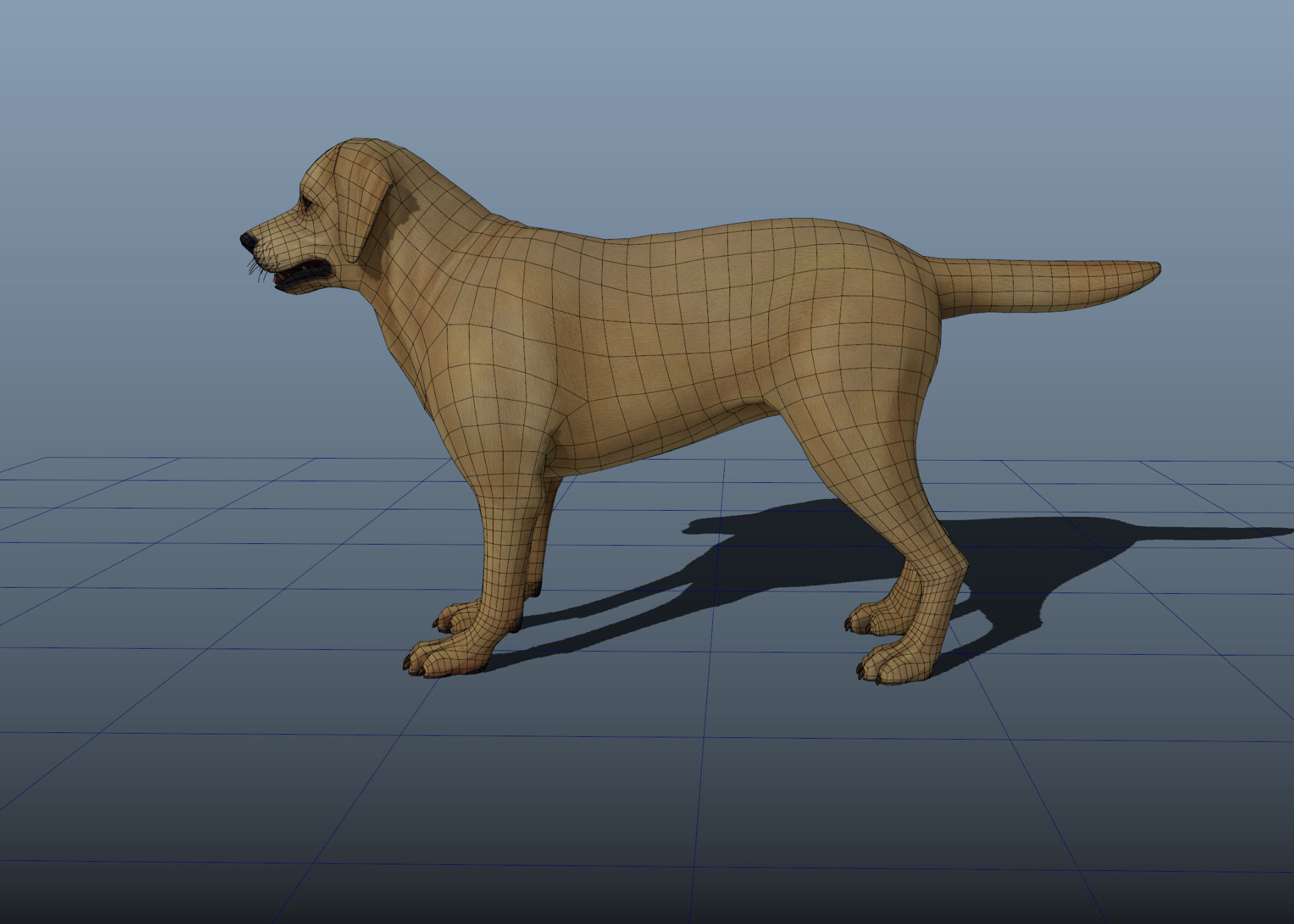Dog rigged and animated Low-poly 3D model_18