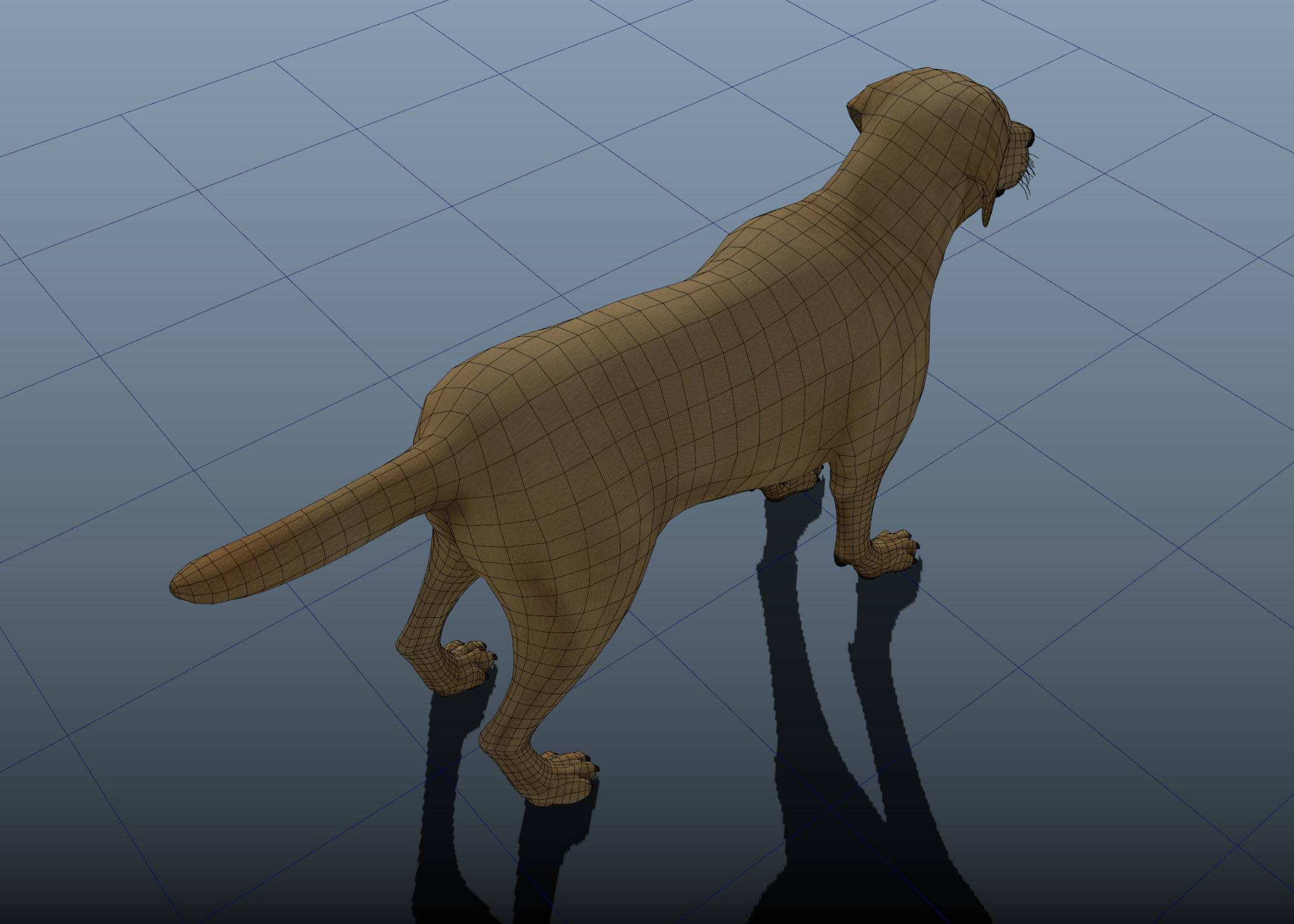 Dog rigged and animated Low-poly 3D model_3