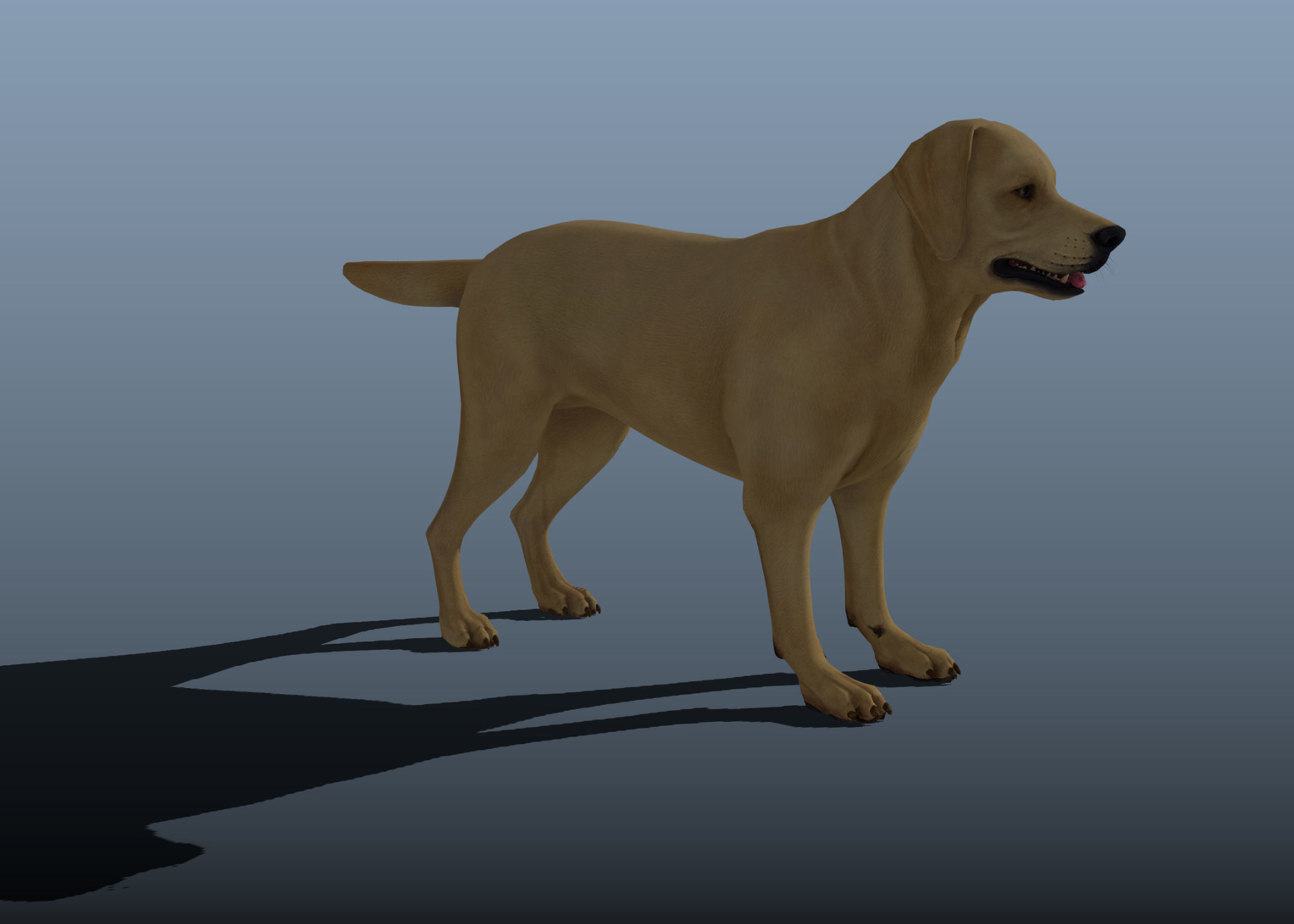 Dog rigged and animated Low-poly 3D model_2