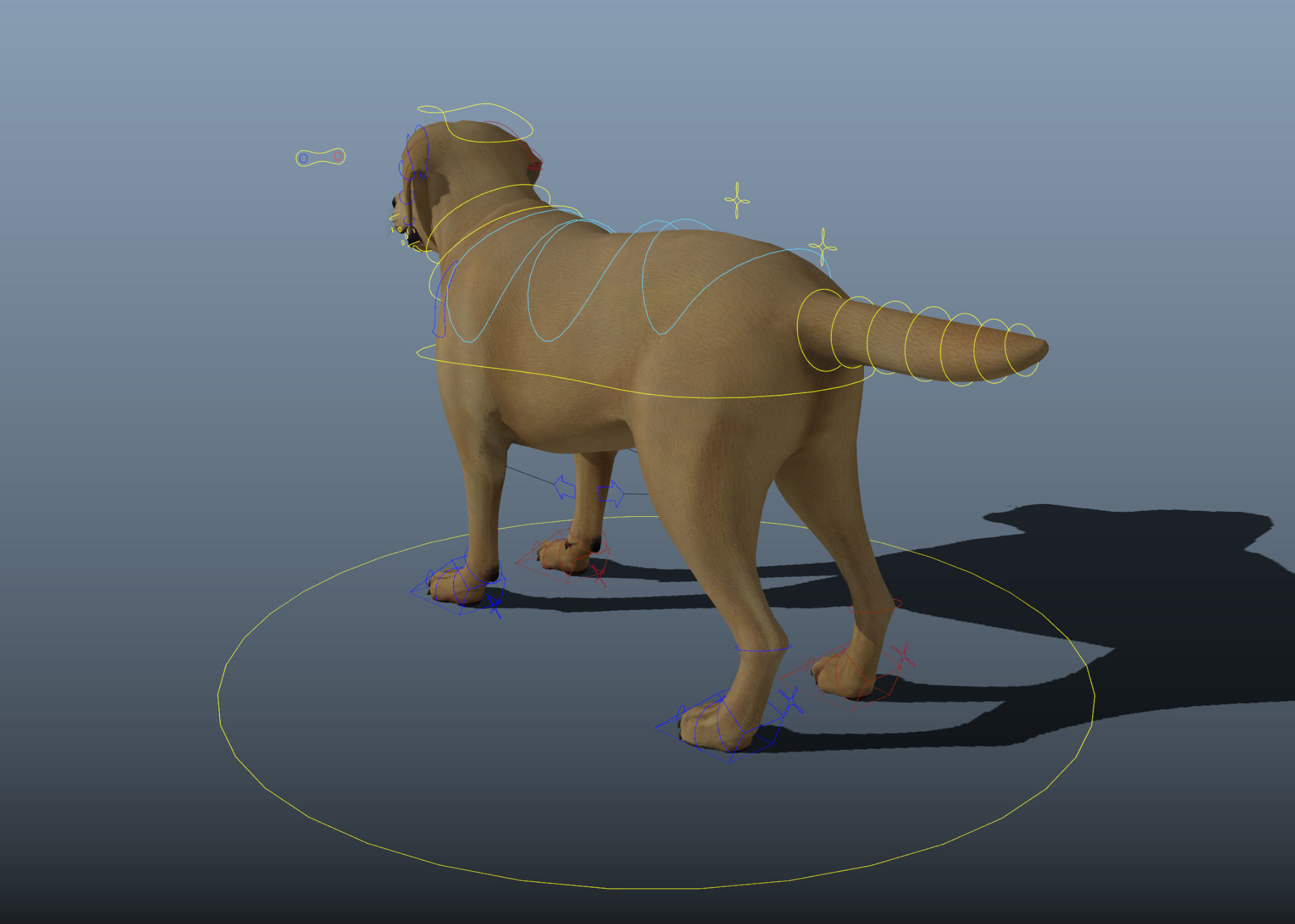 Dog rigged and animated Low-poly 3D model_20
