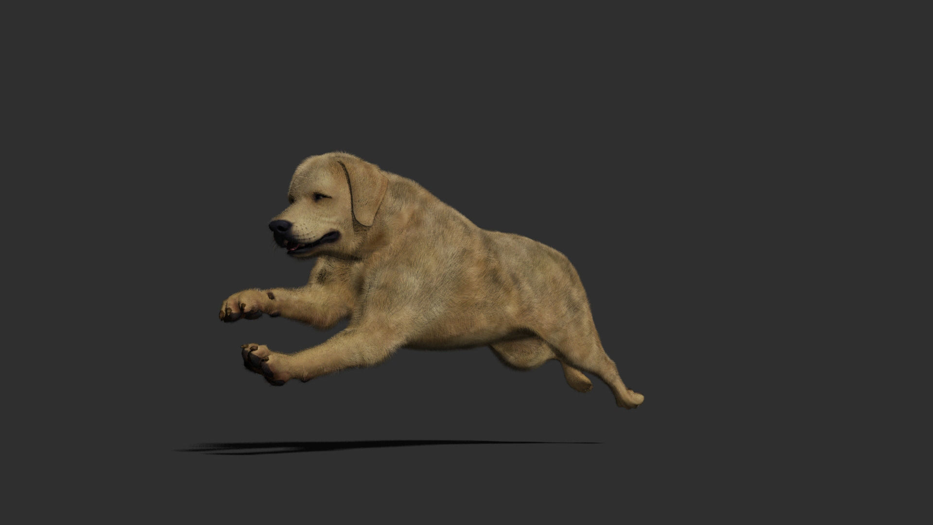 Dog rigged and animated Low-poly 3D model_19