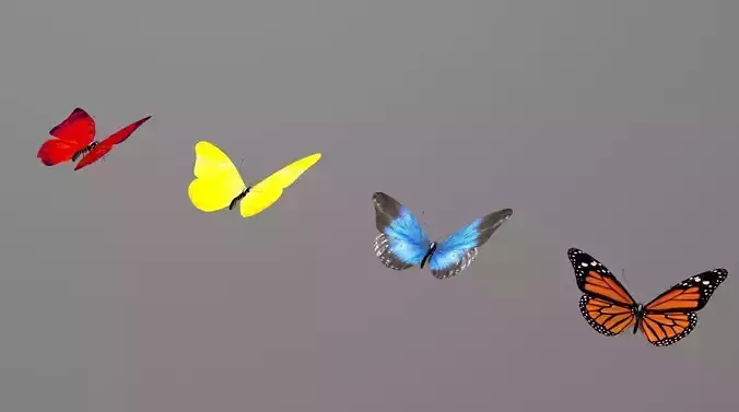 butterfly monarch flying in air 3D model