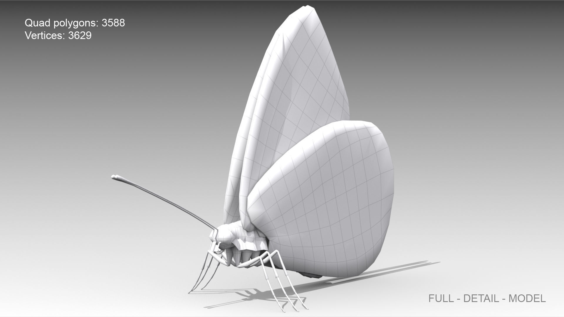 White butterfly Low-poly 3D model_6