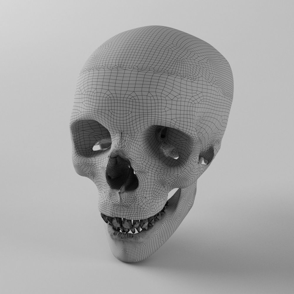 Human Skull Low-poly 3D model_3