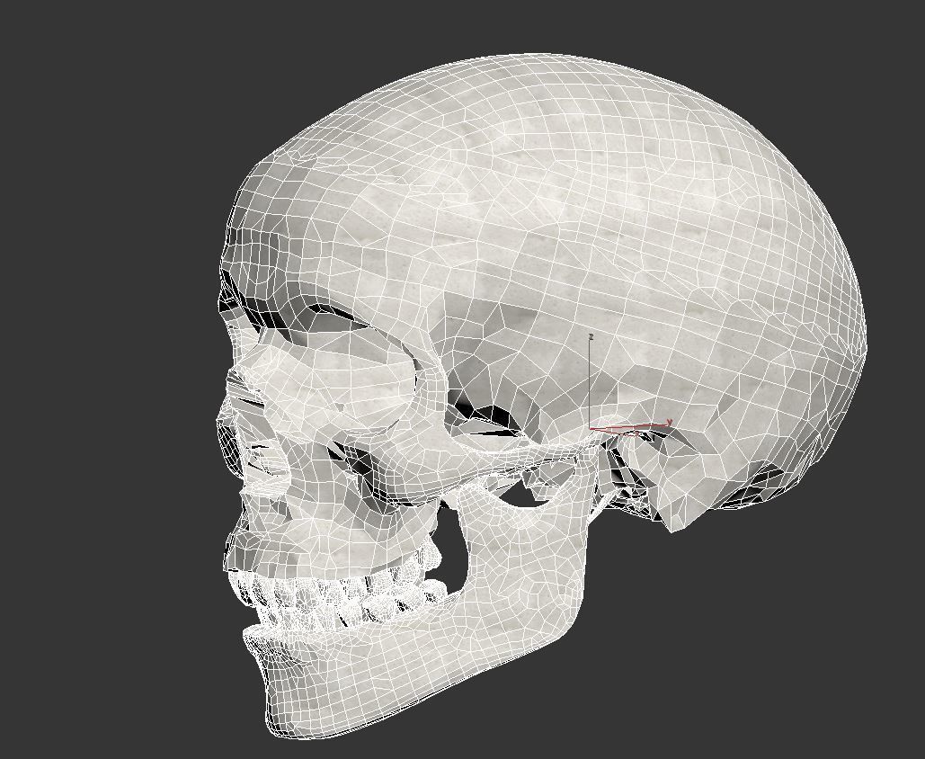 Human Skull Low-poly 3D model_10