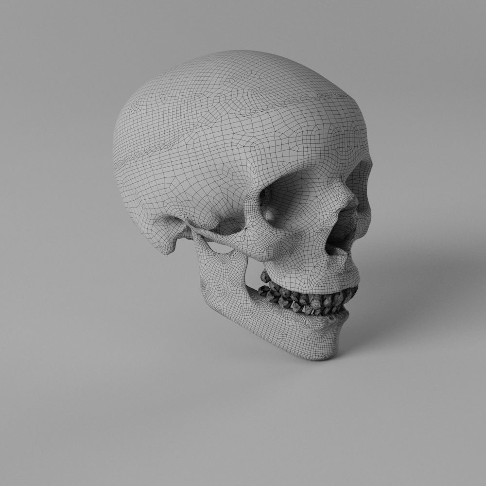 Human Skull Low-poly 3D model_5