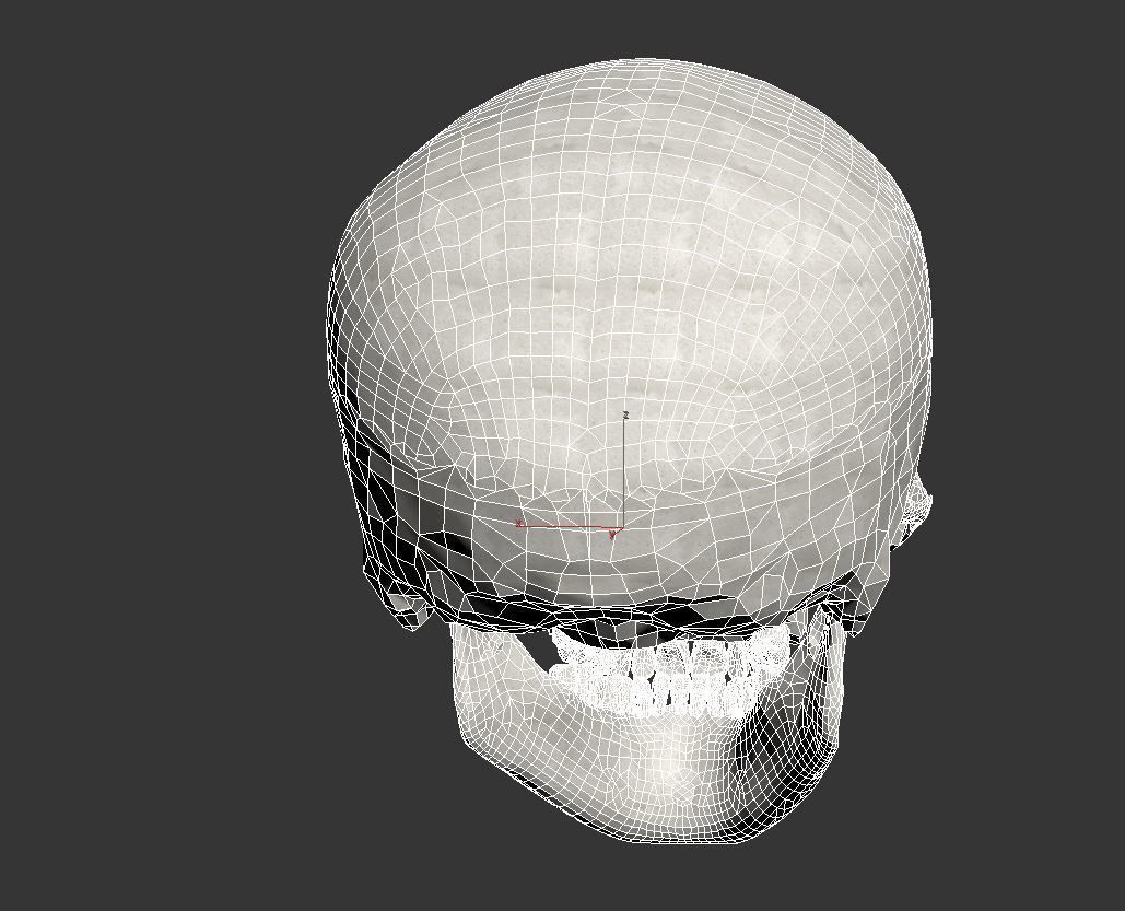 Human Skull Low-poly 3D model_7