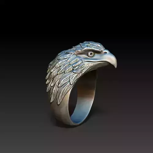 Eagle ring model