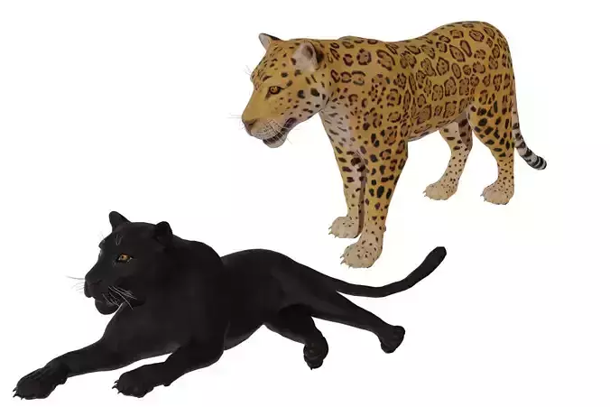 Jaguar 3D model