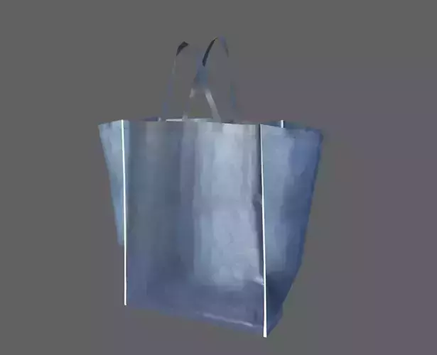 Shopping Bag