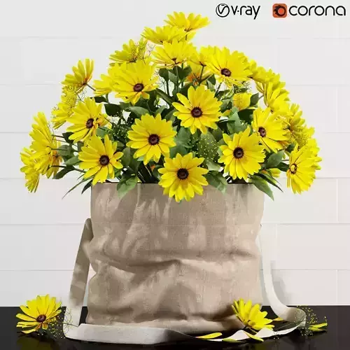 Plants collection 127