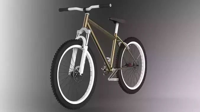 Bicycle mtb
