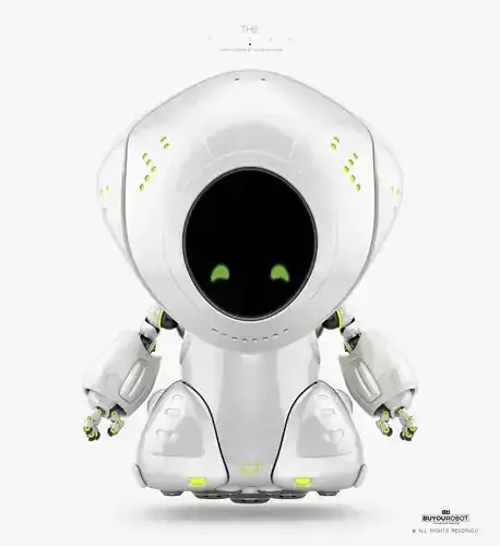 Pirate bot II  3D model