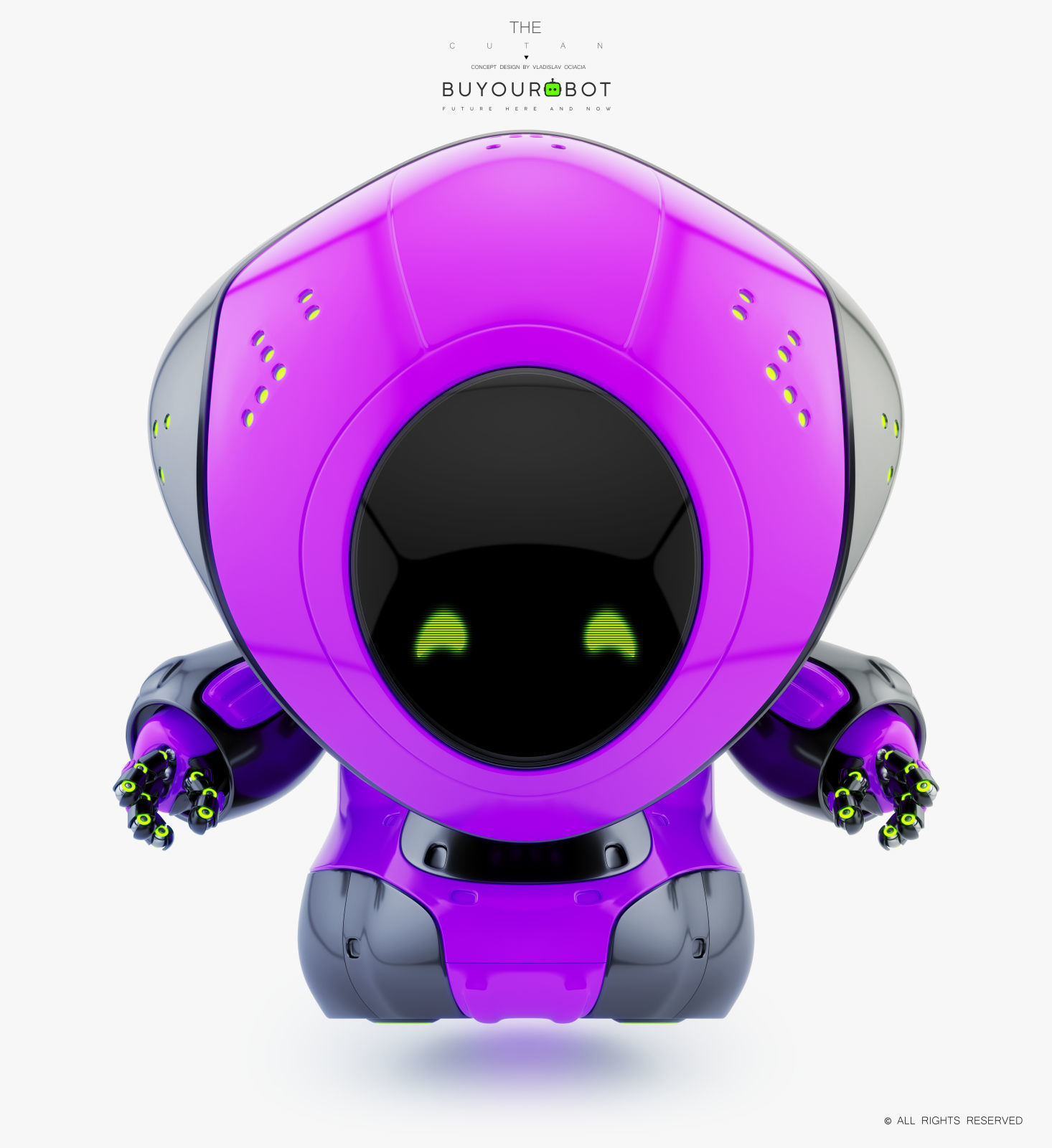 Pirate bot IV 3D model_3