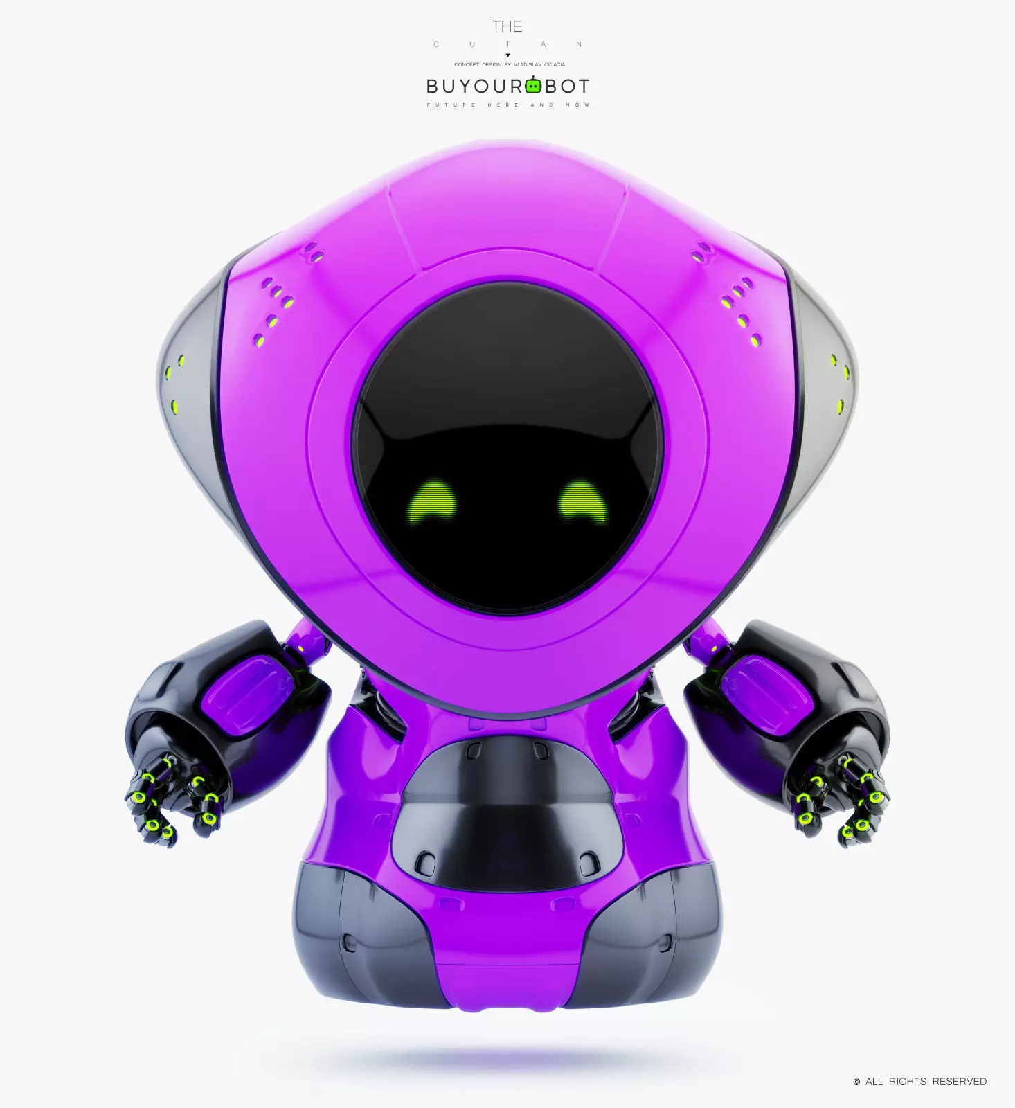 Pirate bot IV 3D model_0