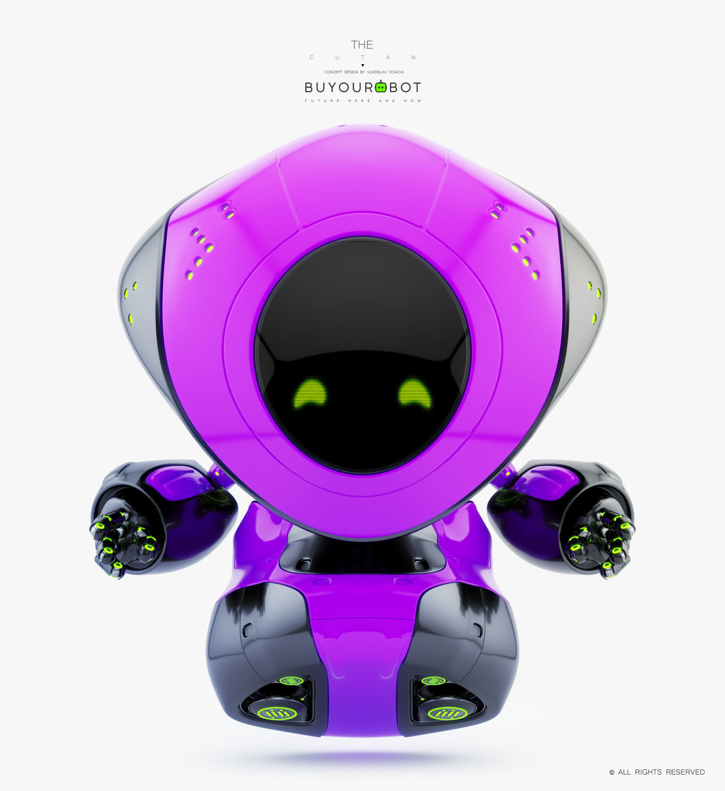 Pirate bot IV 3D model_1