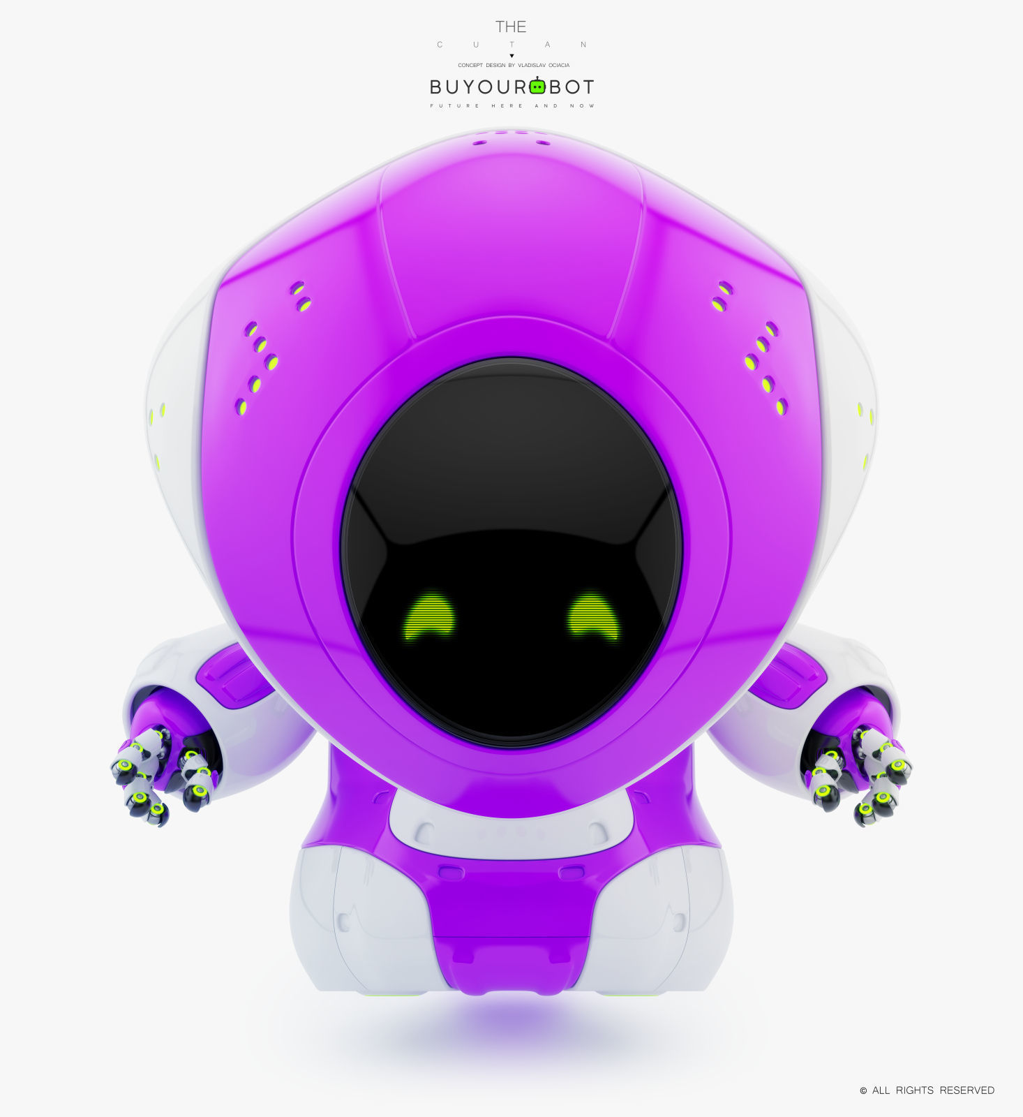 Pirate bot IV 3D model_4