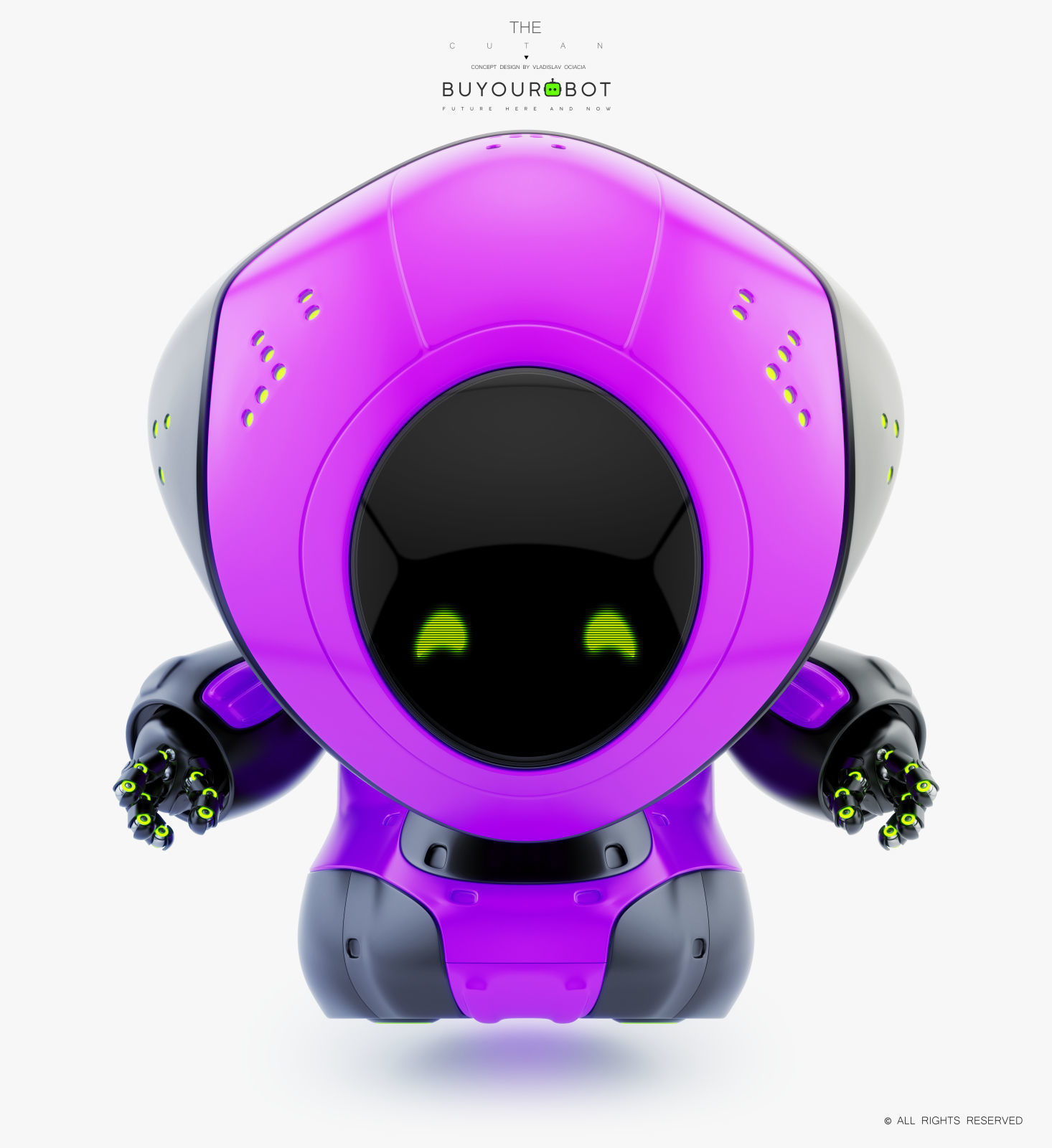 Pirate bot IV 3D model_2