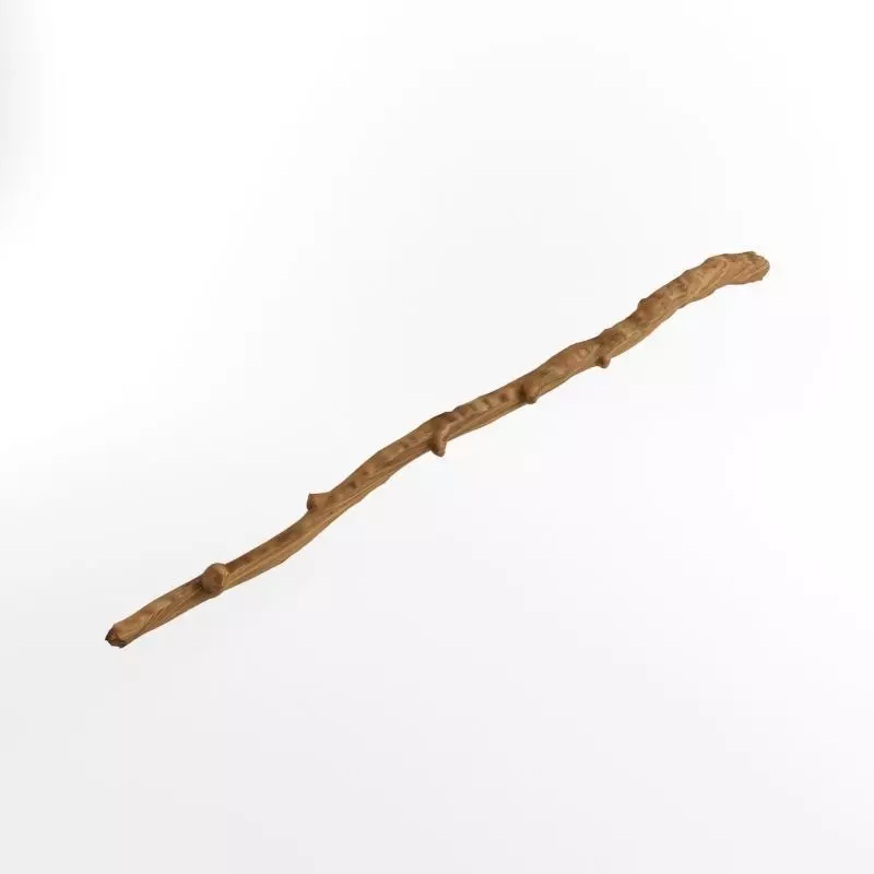 Wooden Stick Branch Staff Low Poly Game Ready asset 3D model 2 Low-poly 3D model_0