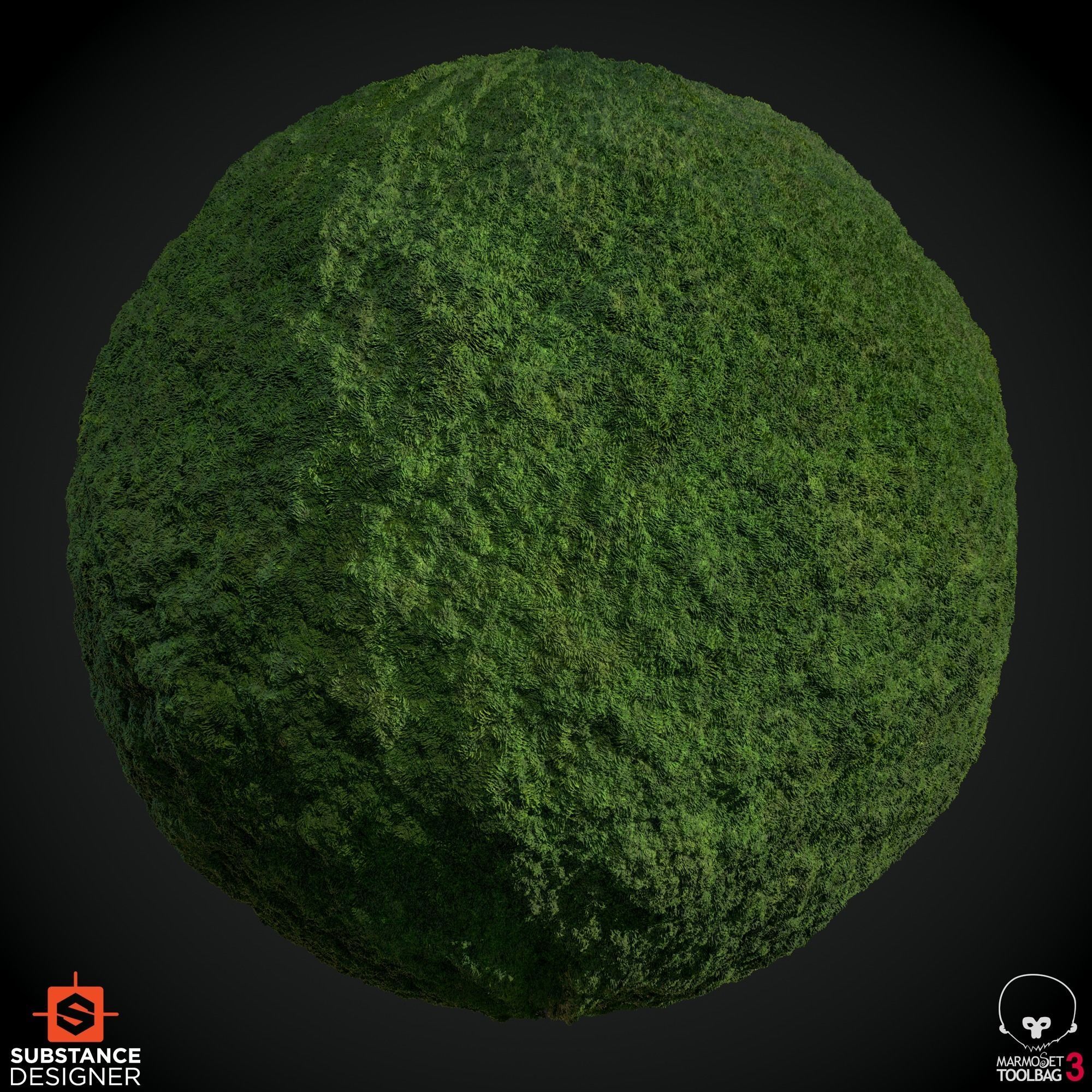 Stone Path Soil Grass Texture Material Texture_2