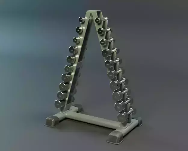 Chrome Dumbbells Rack PBR