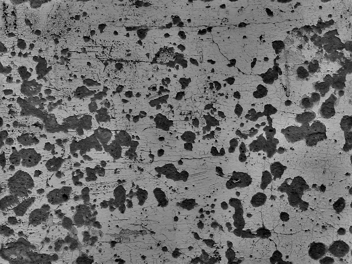 Abandoned Vehicle 3D model_16