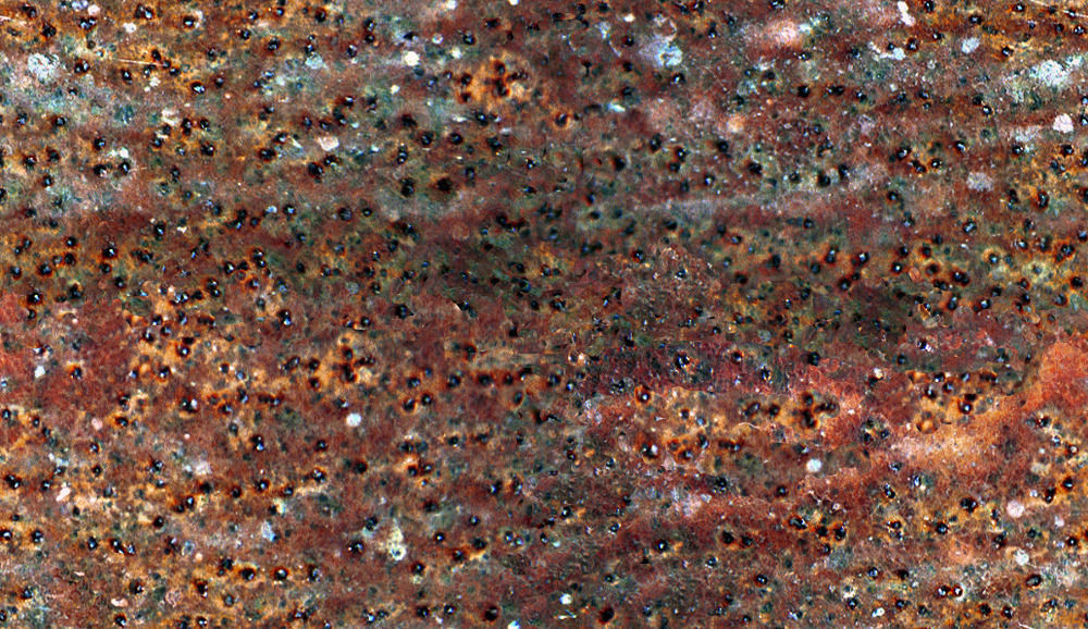 Abandoned Vehicle 3D model_15