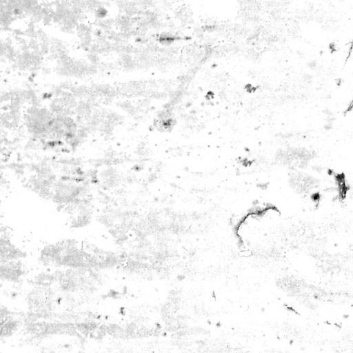 Abandoned Vehicle 3D model_13