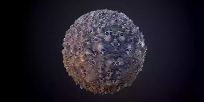 Skulls Muddy PBR SEAMLESS Texture