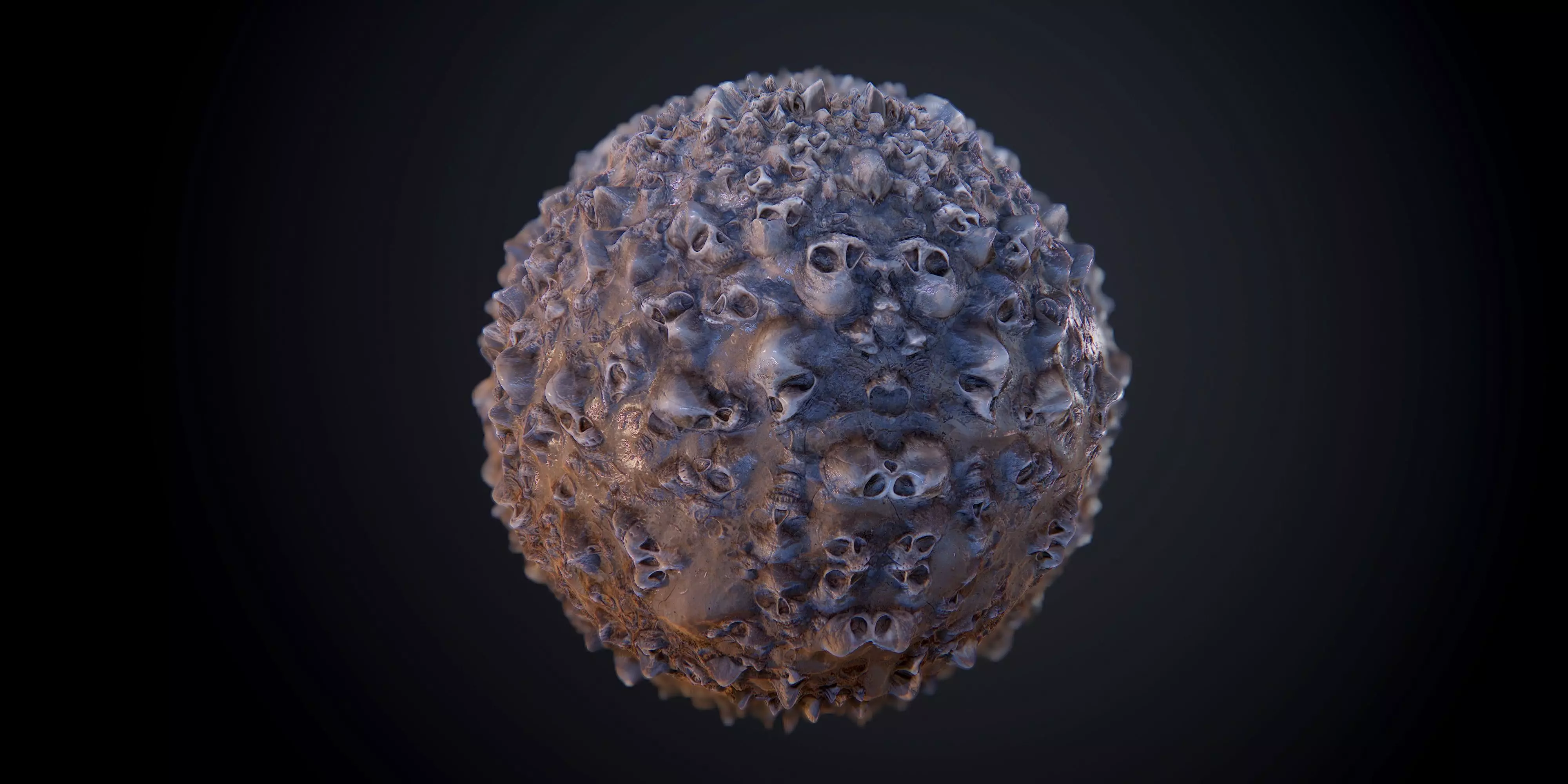 Skulls Muddy PBR SEAMLESS Texture Texture_0