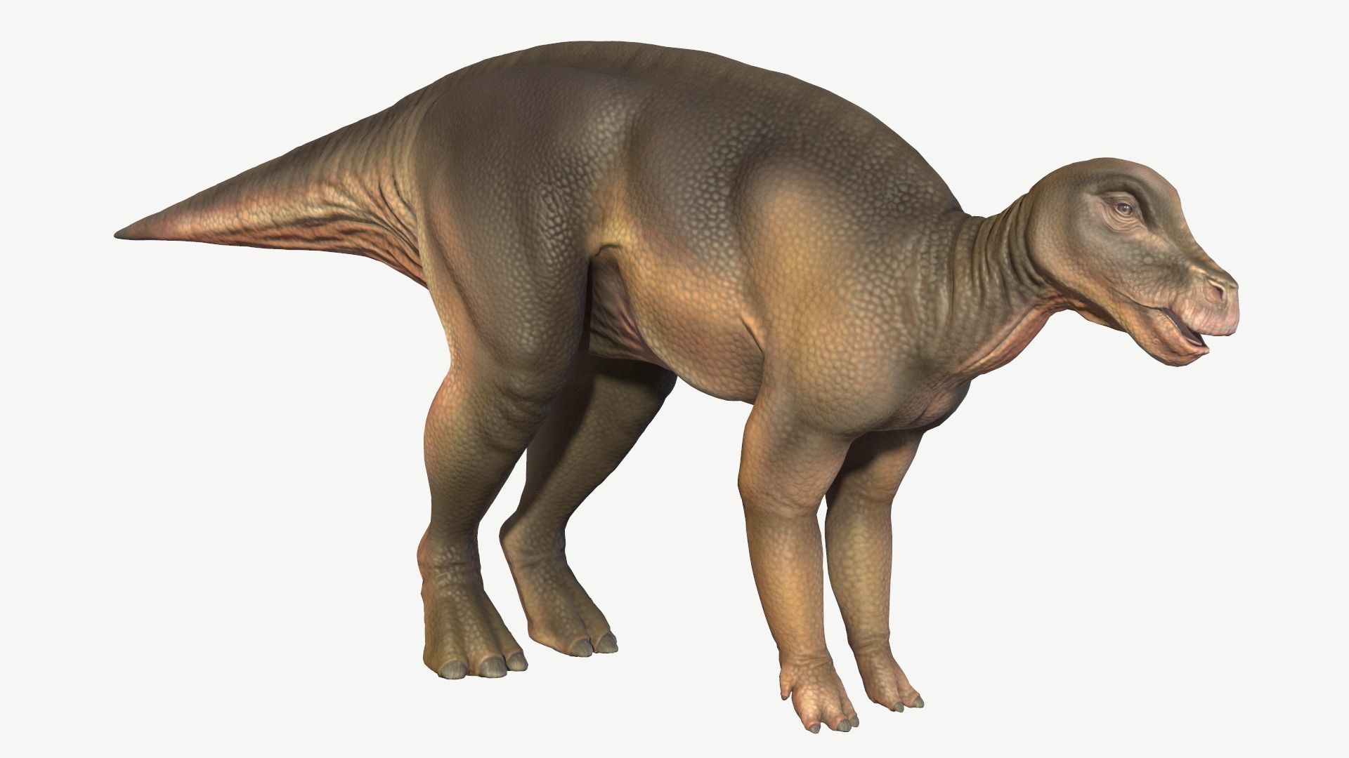 Protohadros dinosaur Low-poly 3D model_1