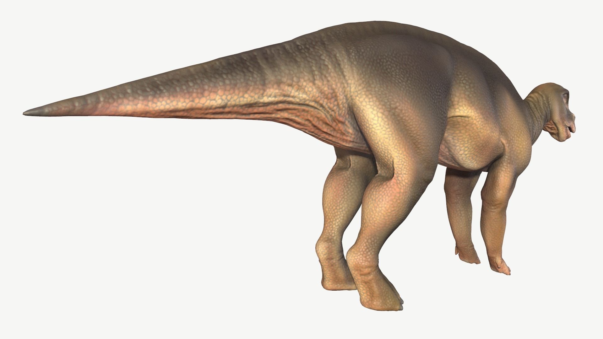 Protohadros dinosaur Low-poly 3D model_5