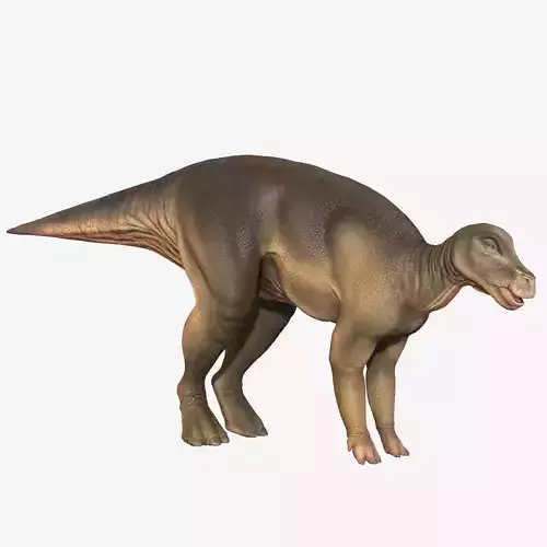 Protohadros dinosaur Low-poly 3D model