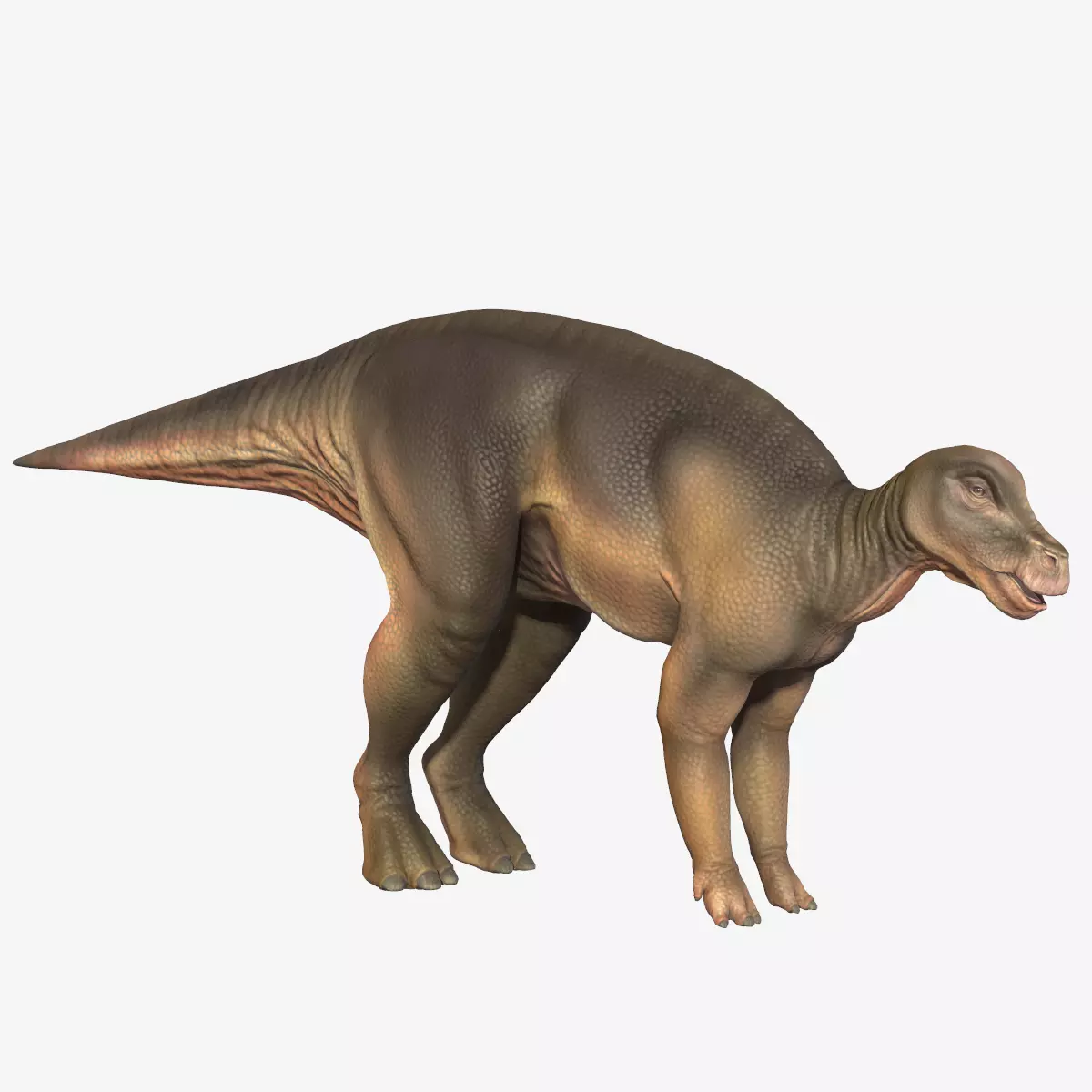 Protohadros dinosaur Low-poly 3D model_0