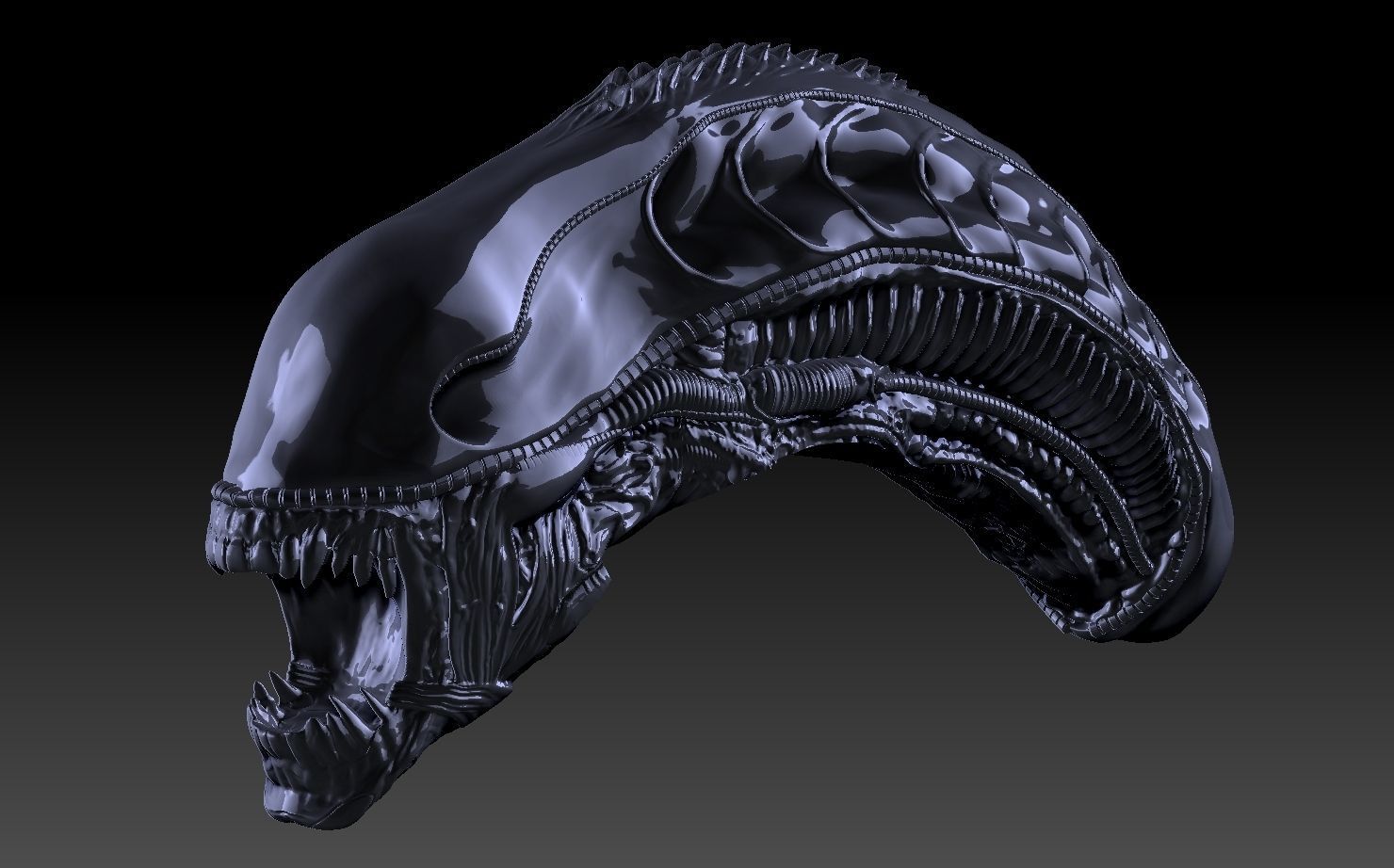 Aliens xenomorph inspired head 3d file 3D model_1
