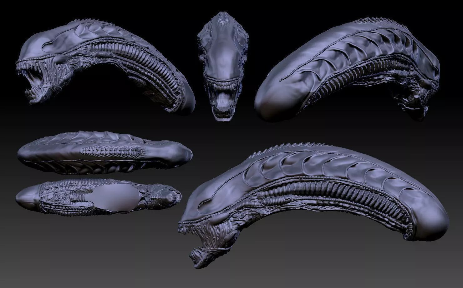 Aliens xenomorph inspired head 3d file 3D model_0