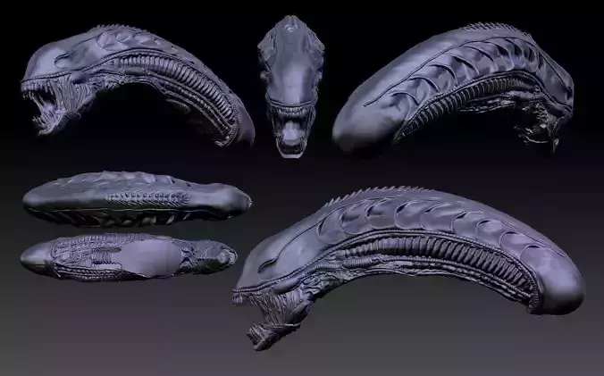 Aliens xenomorph inspired head 3d file 3D model