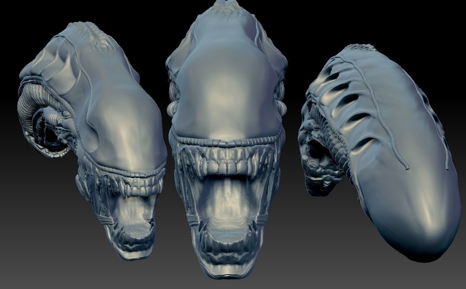 Aliens xenomorph inspired head 3d file 3D model_4