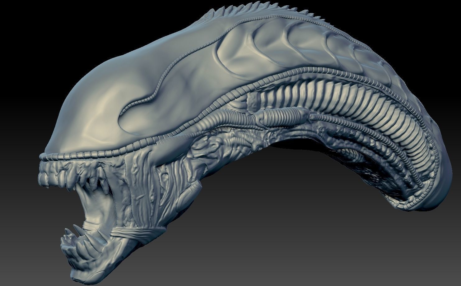 Aliens xenomorph inspired head 3d file 3D model_3