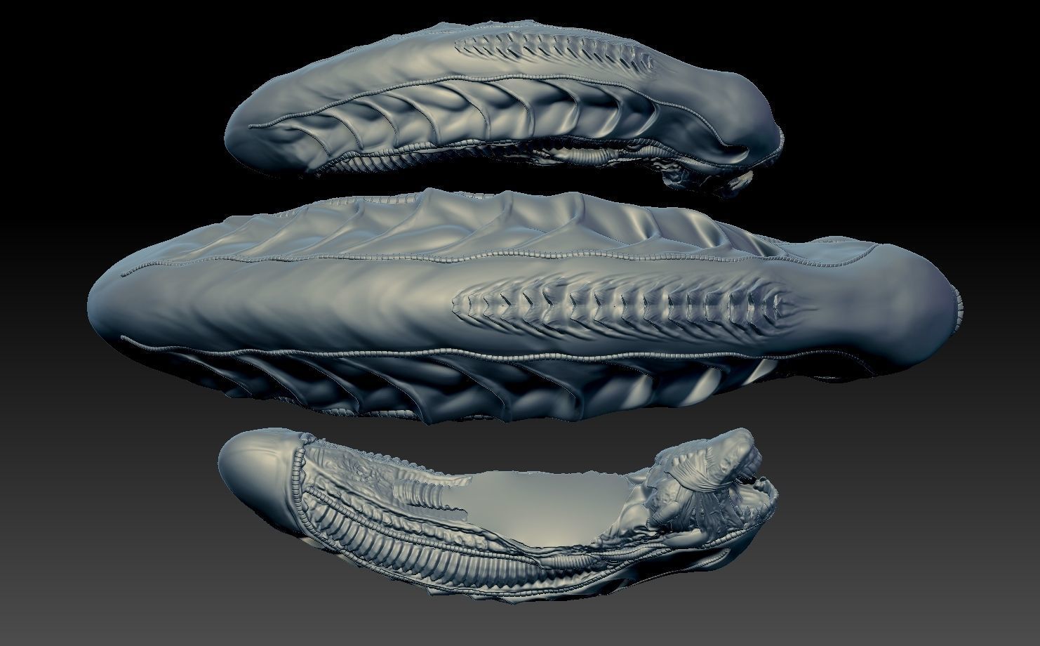 Aliens xenomorph inspired head 3d file 3D model_5