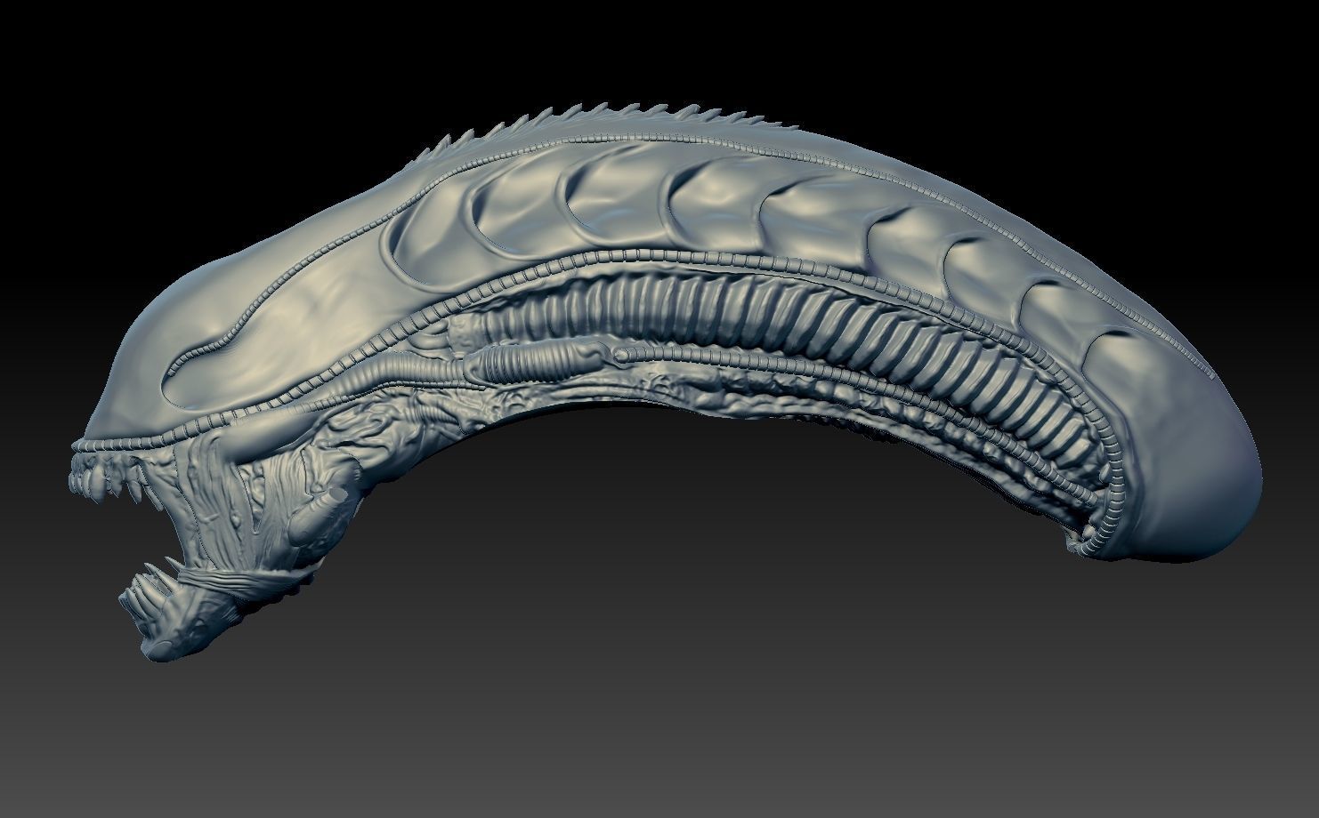 Aliens xenomorph inspired head 3d file 3D model_2