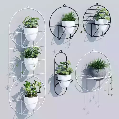 Cosmo plant pots on wall