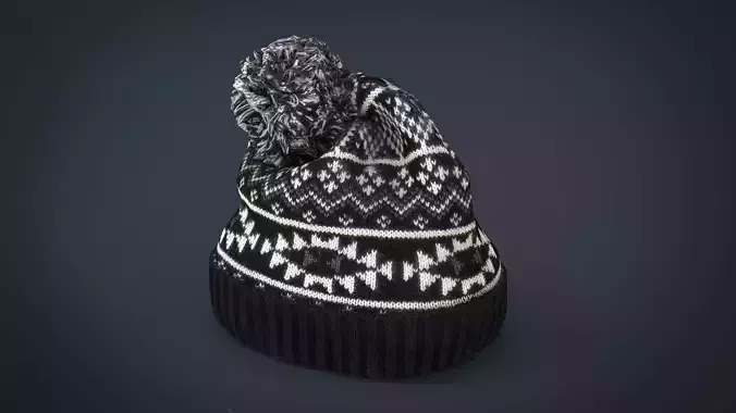Winter Hat