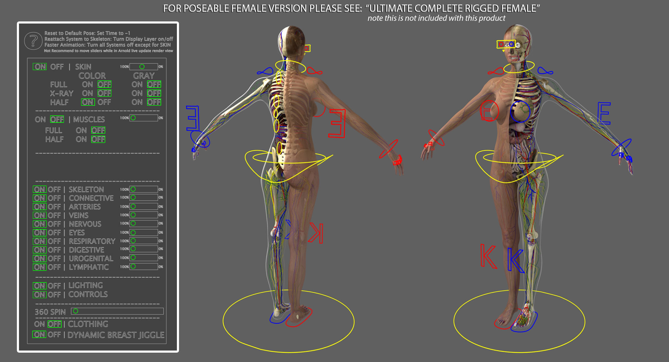 Ultimate Complete Rigged Male 3D model_7