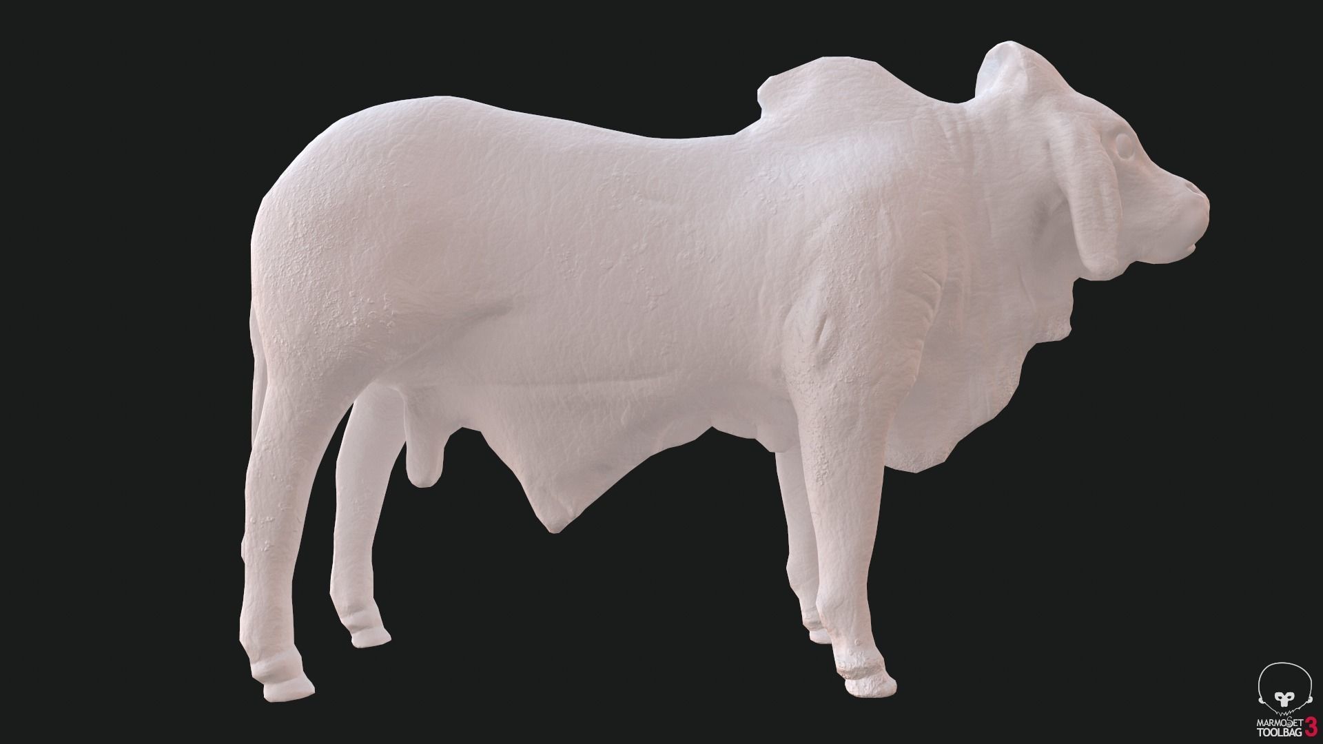 Bull india Low-poly 3D model_6