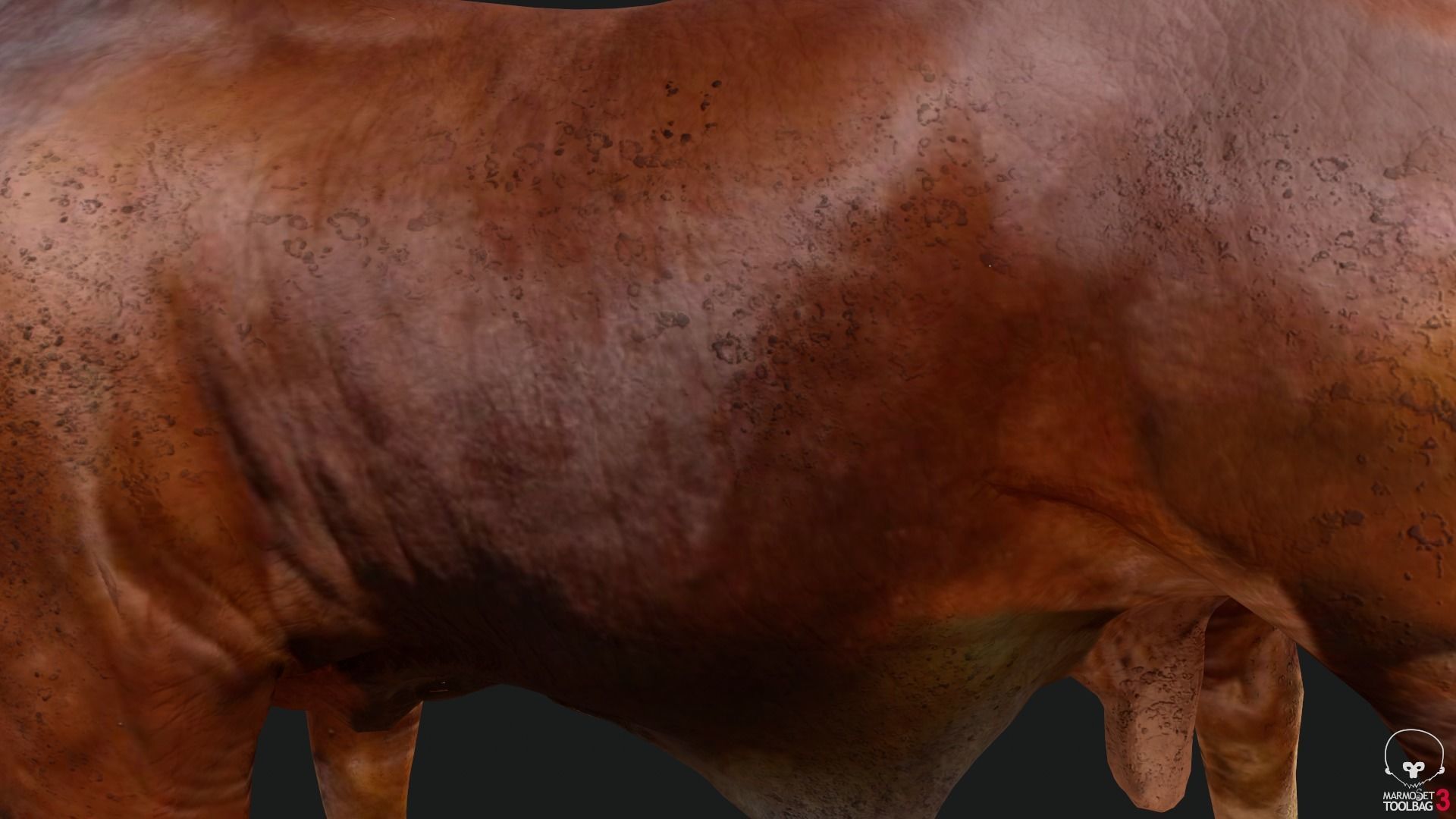 Bull india Low-poly 3D model_3