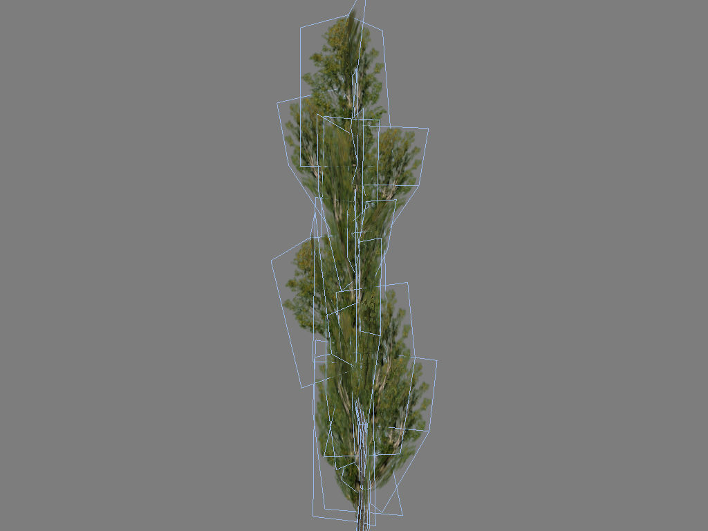 poplar tree Low-poly 3D model_5
